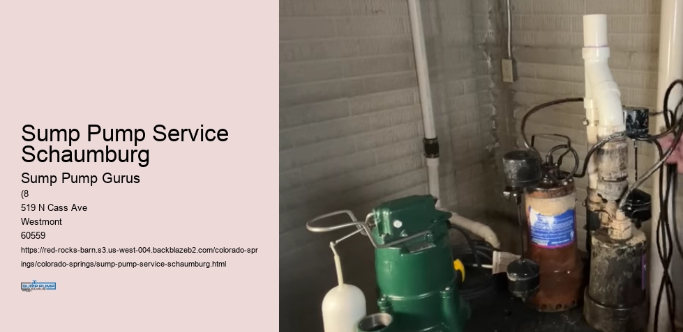 Sump Pump Service Schaumburg
